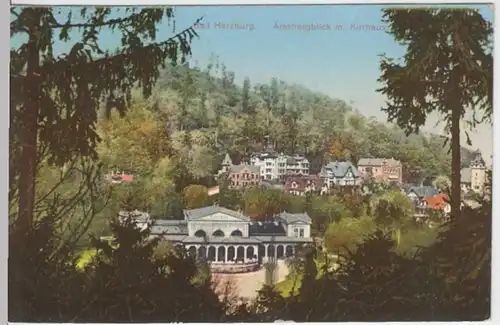 (7417) AK Bad Harzburg, Amsbergblick mit Kurhaus 1911