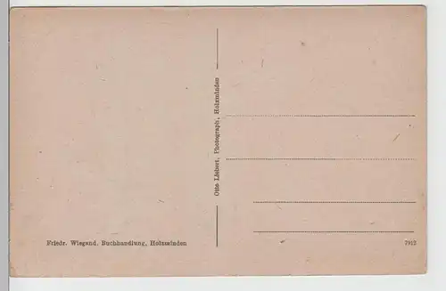 (72028) AK Holzminden, Panorama, vor 1945