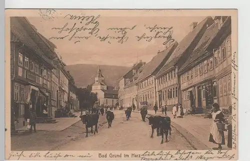 (71238) AK Bad Grund im Harz, Rinder auf der Straße 1920