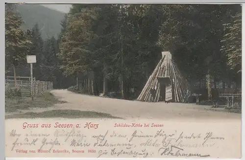 (71125) AK Gruss aus Seesen am Harz, Schildau-Köthe, 1902