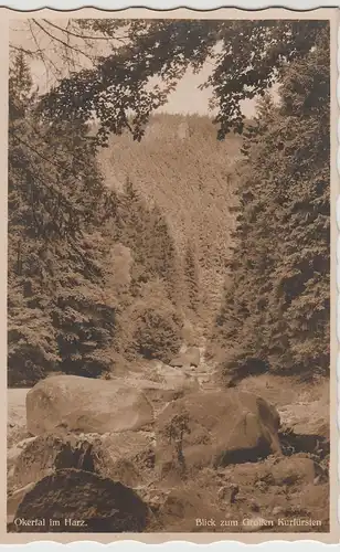 (70045) Foto AK Okertal im Harz, Blick zum Großen Kurfürsten, vor 1945