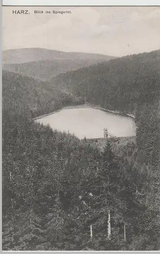 (69208) AK Harz, Blick ins Spiegeltal 1907