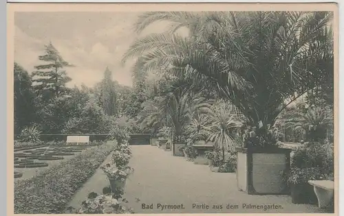 (68203) AK Bad Pyrmont, Partie aus dem Palmengarten, vor 1945