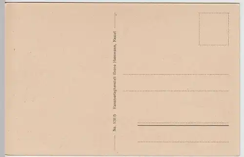 (68203) AK Bad Pyrmont, Partie aus dem Palmengarten, vor 1945