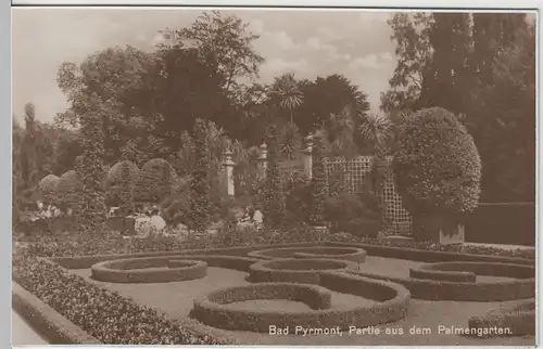 (68202) Foto AK Bad Pyrmont, Partie aus dem Palmengarten, 1920er/30er