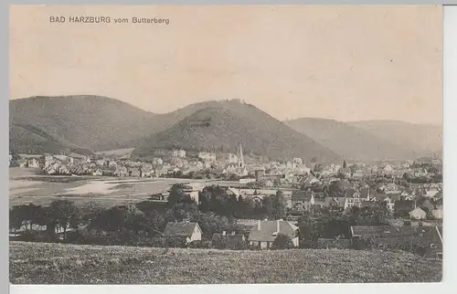 (68195) AK Bad Harzburg, Gesamtansicht vom Butterberg, vor 1920