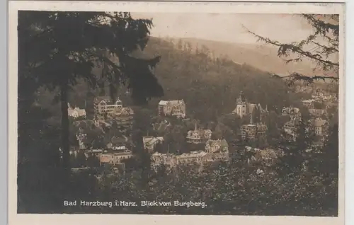 (68193) Foto AK Bad Harzburg, Blick vom Burgberg, 1933-45