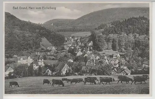 (68129) AK Bad Grund im Harz, Gesamtansicht vom Eichelberg, vor 1945