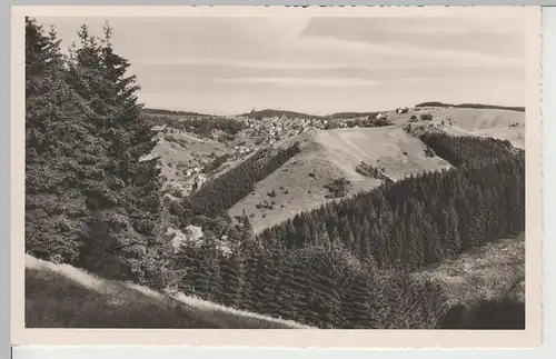 (67870) Foto AK St. Andreasberg, Blick vom Treibholz, nach 1945