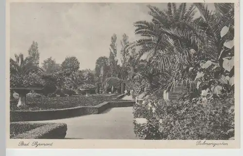 (66520) AK Bad Pyrmont, Palmengarten, 1931