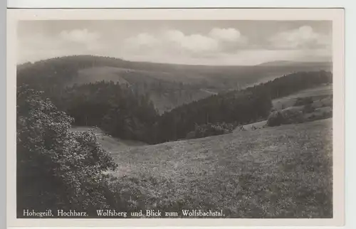 (65921) Foto AK Hohegeiß (Harz), Wolfsberg u. Blick z. Wolfbachstal