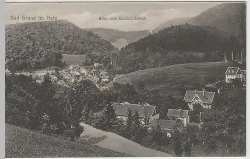 (65220) AK Bad Grund im Harz, Blick vom Schönhofsblick 1932