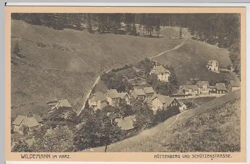 (60237) AK Wildemann im Harz, Hüttenberg u. Schützenstraße, vor 1945