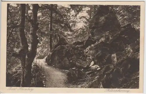 (5715) AK Bad Harzburg, Philosophenweg, bis 1926