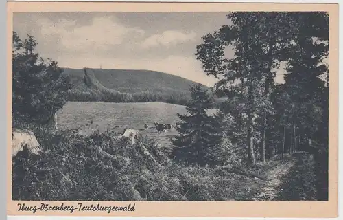 (56677) AK Iburg, Dörenberg im Teutoburgerwald, vor 1945