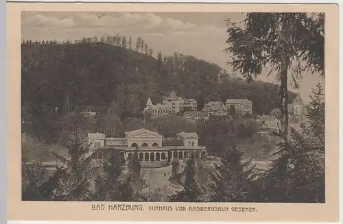 (56419) AK Bad Harzburg, Kurhaus von Amsbergsruh gesehen, vor 1945