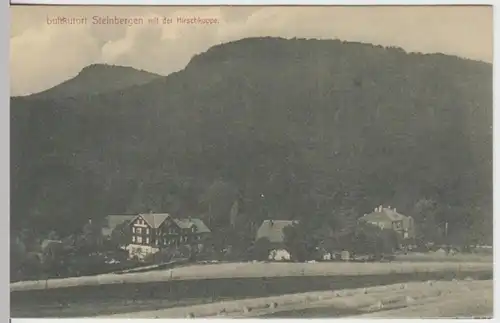 (5492) AK Steinbergen, Ortsansicht, Hirschkuppe, vor 1945