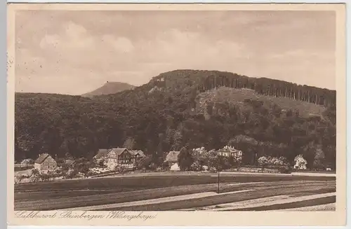 (47408) AK Steinbergen, Wesergebirge, Panorama 1929