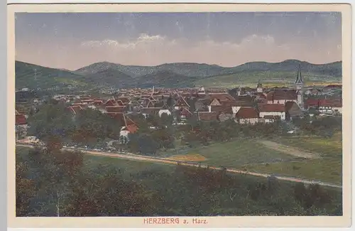 (47355) AK Herzberg am Harz, Panorama 1920er