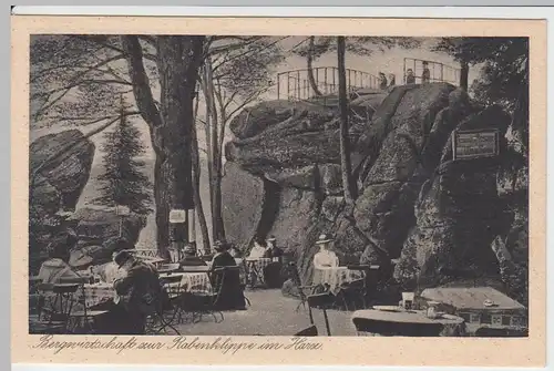 (47215) AK Bad Harzburg, Bergwirtschaft zur Rabenklippe, um 1923