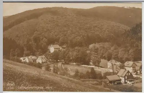 (45699) Foto AK Wieda im Harz, Ortsansicht, 1929