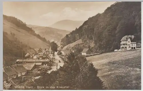 (45533) Foto AK Wieda, Blick in das Kreuztal, 1929