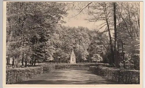 (44292) Foto AK Tetzelstein-Denkmal a.d. Elm, vor 1945