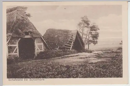 (43244) AK Hanstedt, Schierhorn, alte Schafställe vor 1945