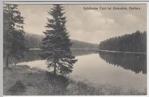 (42986) AK Hahnenklee, Kuttelbacher Teich 1918