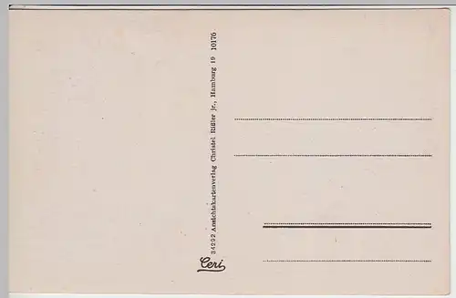 (40758) AK Walsrode i. Hann., Schwanenteich