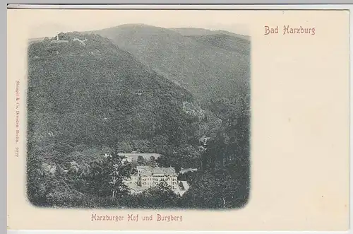 (40652) AK Bad Harzburg, Harzburger Hof und Burgberg um 1900