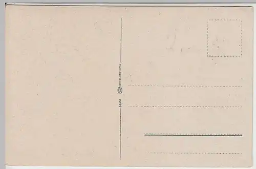 (39974) AK Absturzstelle Romkerhaller Wasserfall, Okertal 1910/20er