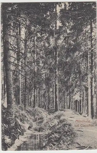 (39418) AK Mönchstal bei Clausthal 1910er