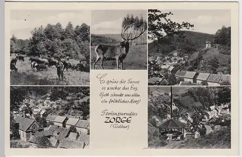 (38637) AK Zorge im Südharz, Mehrbildkarte