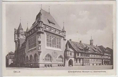 (37536) AK Celle, Vaterländisches Museum u. Löwenapotheke vor 1945