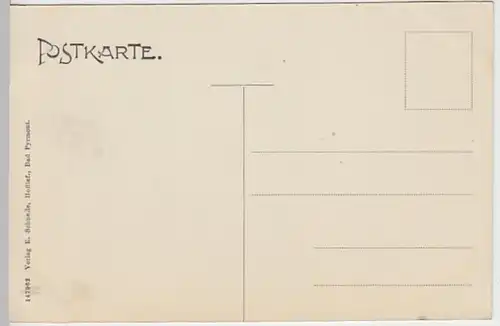 (31103) AK Bad Pyrmont, Partie im fürstl. Kurpark, vor 1945