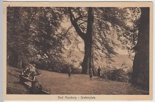 (30459) AK Bad Harzburg, Grafenplatz, 1930