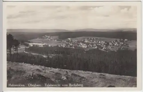 (2973) Foto AK Hahnenklee, Panorama