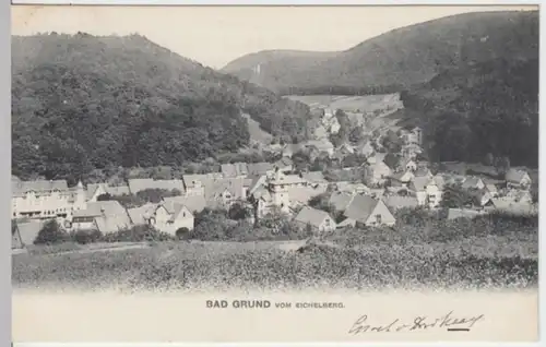 (2765) AK Bad Grund, Panorama 1905