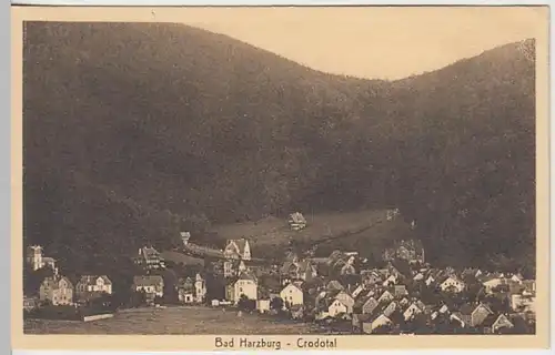 (26036) AK Bad Harzburg, Crodotal 1916