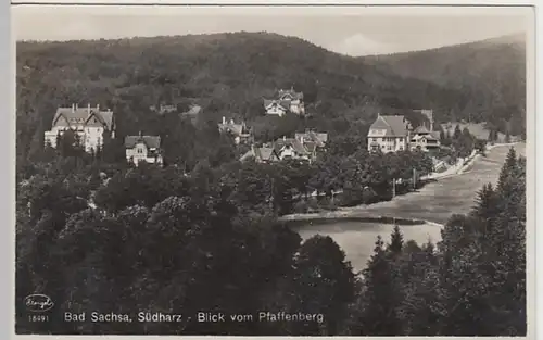 (24862) Foto AK Bad Sachsa, Blick vom Pfaffenberg, vor 1945
