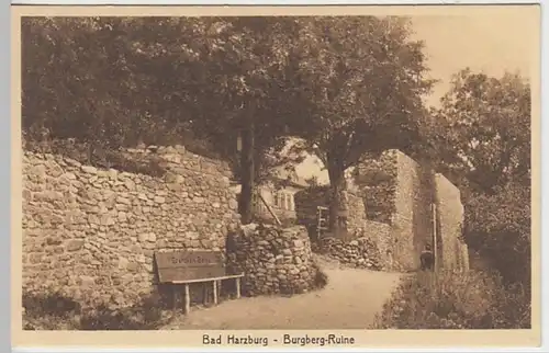 (20916) AK Bad Harzburg, Burgberg, Ruine, vor 1945