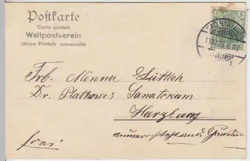(16305) AK Bad Harzburg, Radaufall 1903