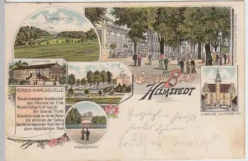 (15485) AK Gruß aus Helmstedt, Brunnental, Universität, Theater 1903