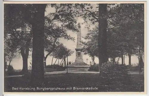 (15054) AK Bad Harzburg, Burgbergplateau, Bismarcksäule, vor 1945