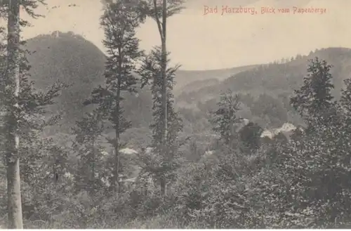 (143) AK Bad Harzburg, Blick vom Papenberg 1906