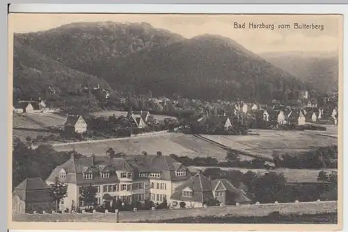 (12977) AK Bad Harzburg, Panorama 1929