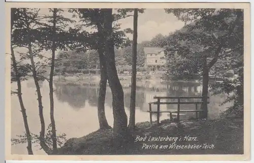 (12958) AK Bad Lauterberg im Harz, Wiesenbeker Teich 1911