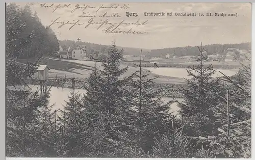 (115485) AK Bockswiese, Teichpartie vom 3. Teiche aus 1909