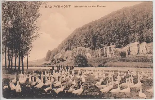 (115343) AK Bad Pyrmont, Gänseherde an der Emmer 1908